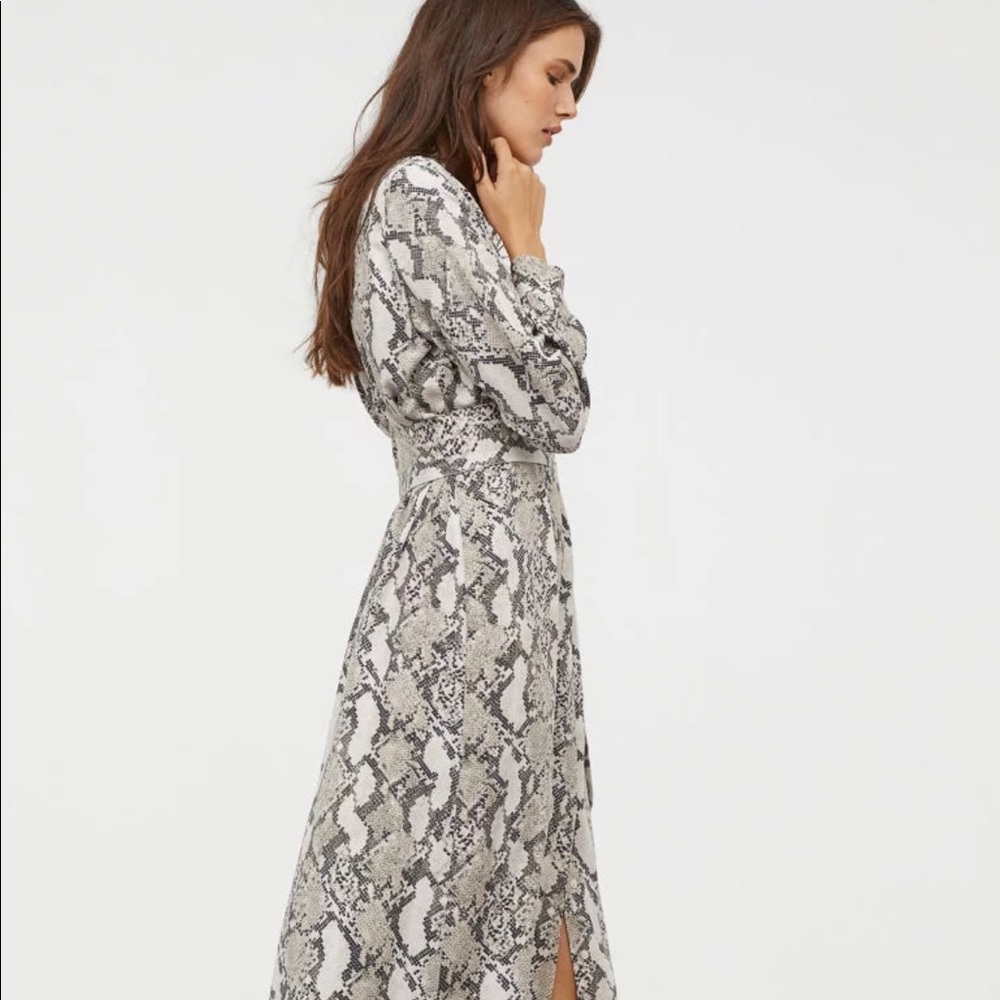 H&M snake print shirt dress